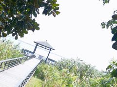 -莲花岛景区