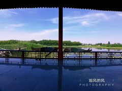 -白洋淀景区