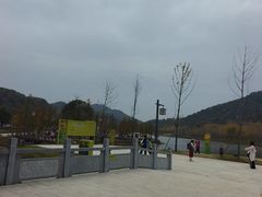 -千年银杏谷文化旅游区