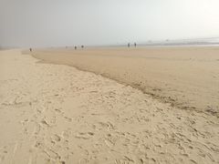 -日照海滨国家森林公园