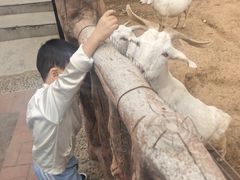 -石家庄市动物园