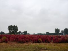 -汉长安城未央宫国家考古遗址公园