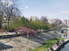 -桃花堤公园