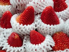 -港华水果街(港华广场店)