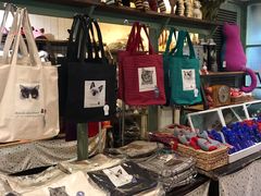 -猫咪博物馆(顶澳仔猫街店)