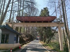 -午潮山国家森林公园