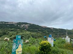 -东极岛景区