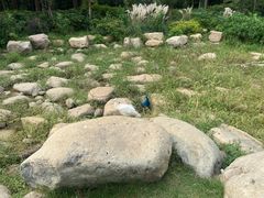 -无锡动物园·太湖欢乐园