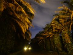 外观-美视五月花高尔夫度假酒店(滨海西店)