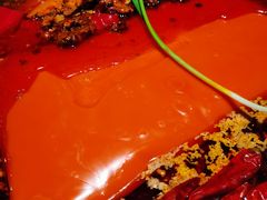 -园里火锅(仁和新城店)