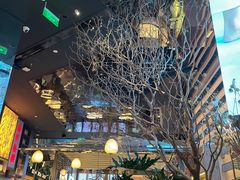 -桂满陇·海市蜃楼·黑金(国金店)