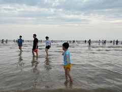 -奉贤海滩