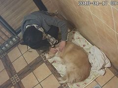 -西元前宠物酒店(郑庄府邸店)