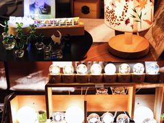 -二酉书店TOYOU BOOKS