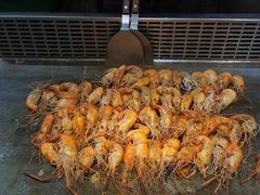 -蒙肥羊·酸汤潮牛·鲜牛肉火锅烤肉自助(岗顶店)
