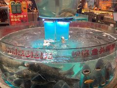 -魏铭鱼头捞饭(晋阳路店)