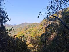 -天女山森林公园