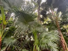 -南宁南湖公园