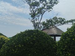 -青岛银沙滩