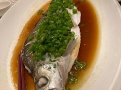 -上海新锦江大酒店