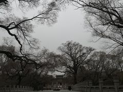 -北陵公园