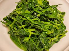 清香豌豆尖-甄御•海鲜新青岛菜(麦岛店)