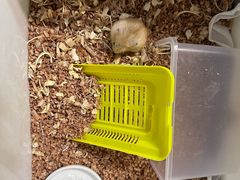 -FAELING PETS美天灵宠物(合生汇店)