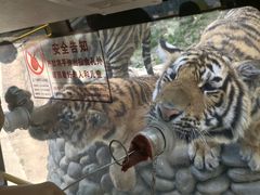 -栾川竹海野生动物园