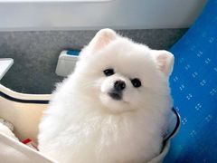 -唱吧麦颂KTV(松江五龙商业广场店)