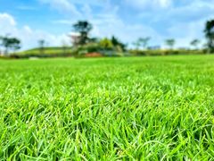 -光明小镇欢乐田园