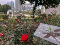 -香蜜公园