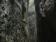 -武陵山森林公园