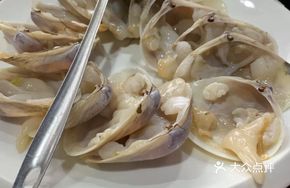 象蚌刺身