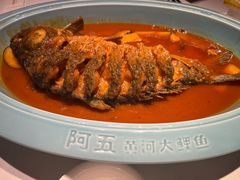 -阿五黄河大鲤鱼(英协路店)