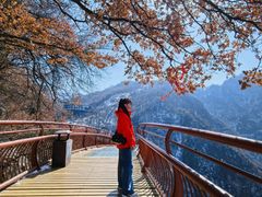 -少华山国家森林公园