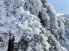 -庐山风景名胜区