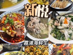 -新悦·霞浦海鲜生(上下杭店)