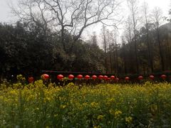 -桃花涧