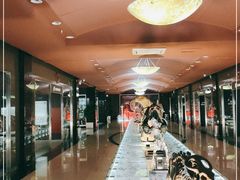 -青岛贝壳博物馆