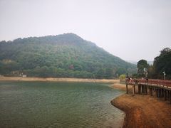 -桃花岭景区