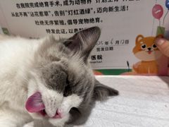 -守诺宠物医院·眼科· 特色牙科·异宠专科(虹口店)