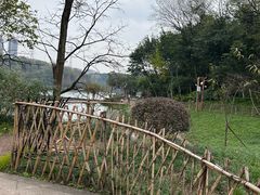 -重庆彩云湖湿地公园
