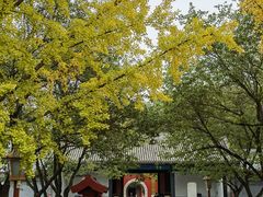 -北京国子监胡同