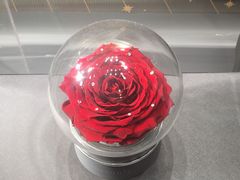 -ROSEONLY诺誓(广州K11店)