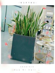 -FUTURE HN男士发型风格设计