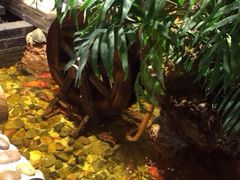 iphone_upload_pic-宴桃园(门头沟店)