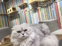-小时光咖啡馆(开森度假森林店)