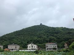 -黄贤森林公园