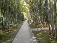 -上海市龙华烈士陵园