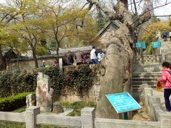 -青岛崂山太清宫